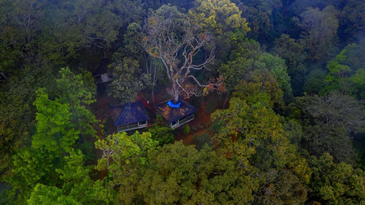 Nature Zone Jungle Resort Munnar Eksteriør billede