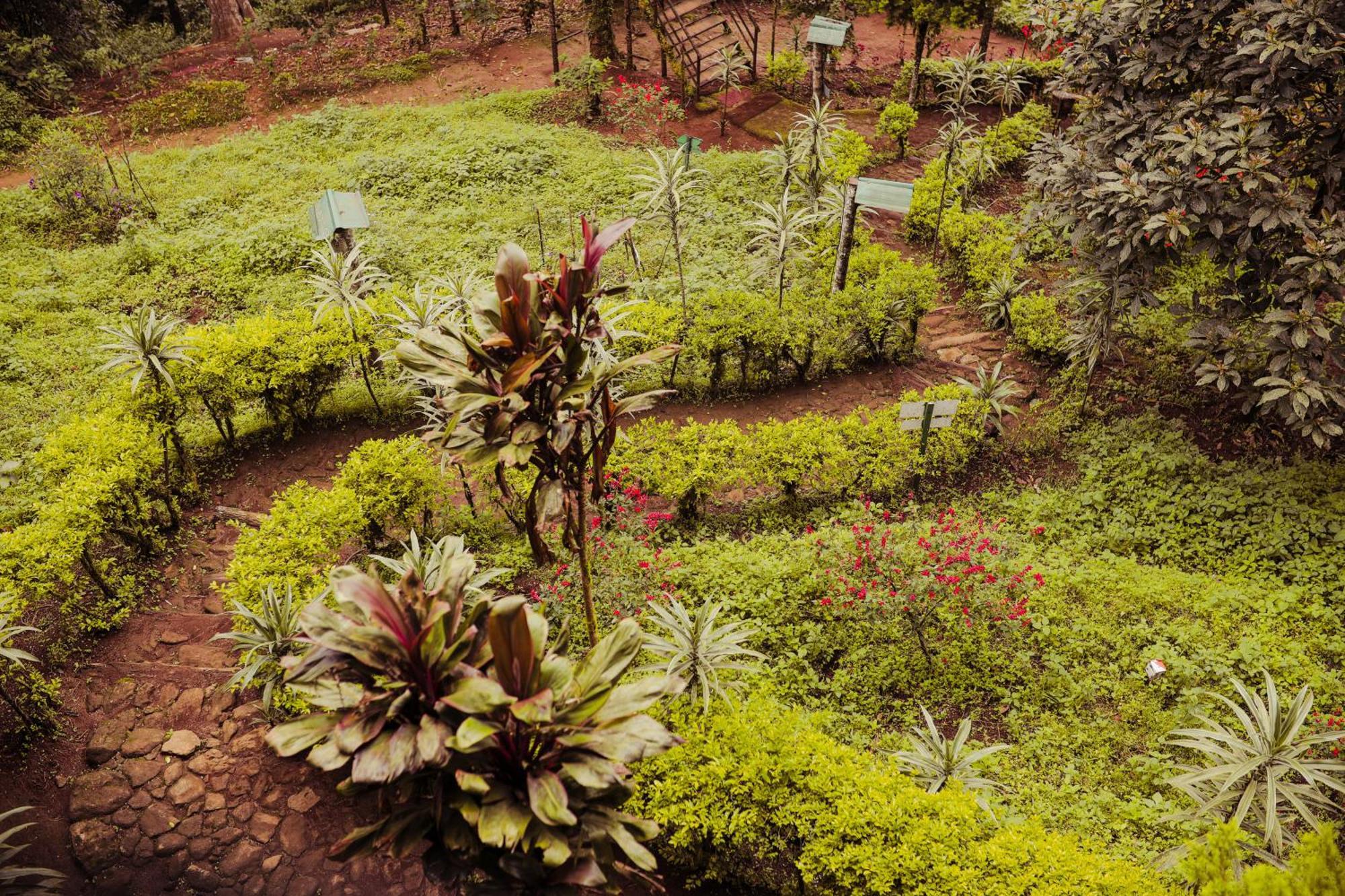 Nature Zone Jungle Resort Munnar Eksteriør billede