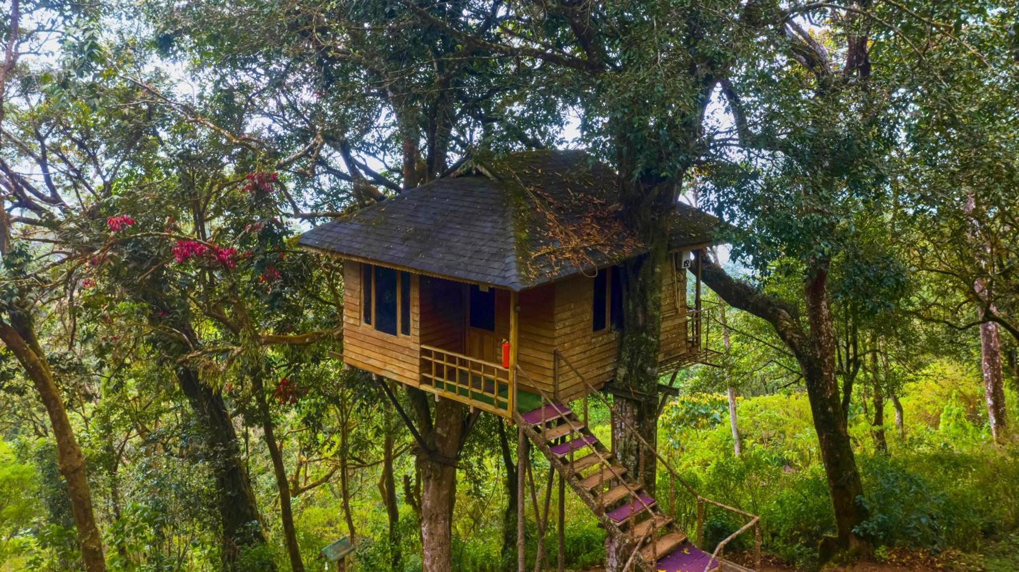 Nature Zone Jungle Resort Munnar Eksteriør billede