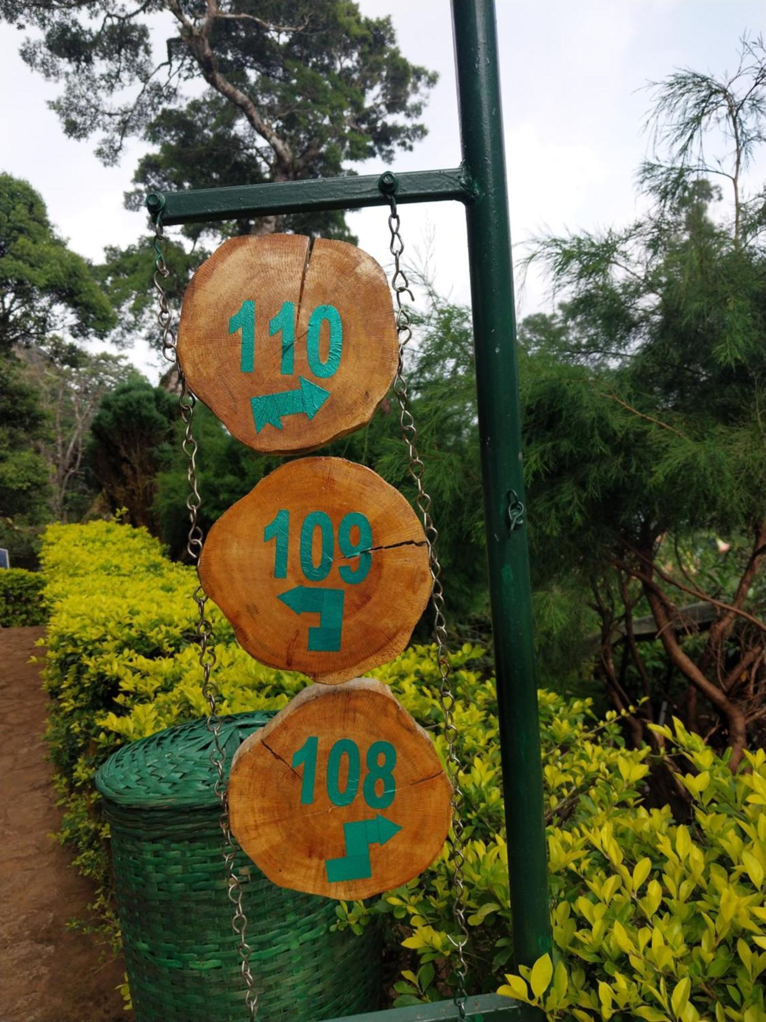 Nature Zone Jungle Resort Munnar Eksteriør billede